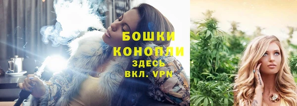 ГАЛЛЮЦИНОГЕННЫЕ ГРИБЫ Армянск