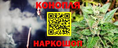 шишки Аргун