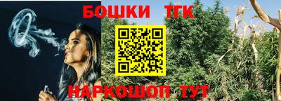 шишки Аргун