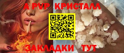 шишки Аргун