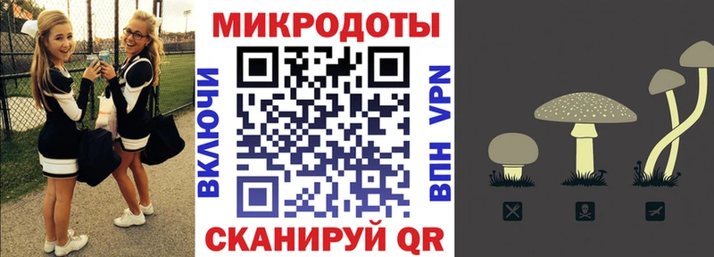Псилоцибиновые грибы GOLDEN TEACHER  Людиново 