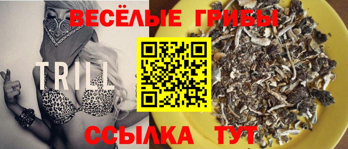 Людиново  Галлюциногенные грибы GOLDEN TEACHER  Вход с VPN  Псилоцибиновые грибы мухоморы 