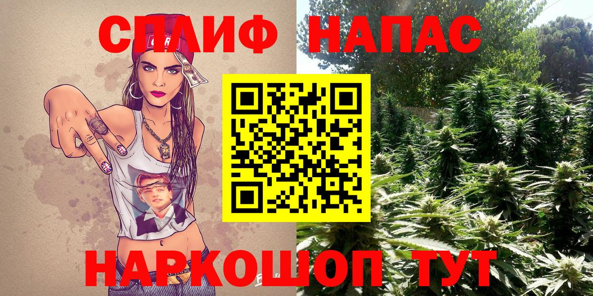 Шишки марихуана планчик Людиново